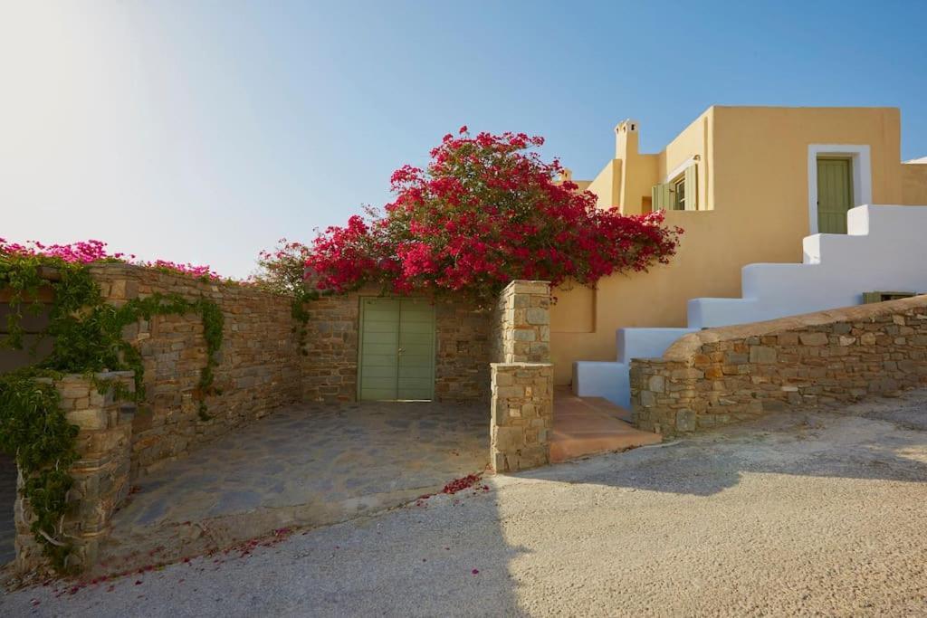 Ochre Dream, Beach Front & Sunset Villa Naousa Kültér fotó